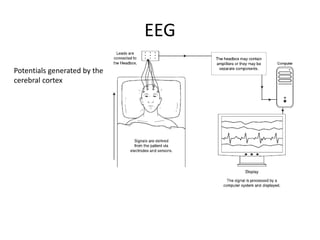 EEG
Potentials generated by the
cerebral cortex
 