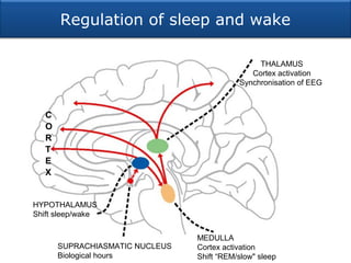 Sleep disturbances | PPT