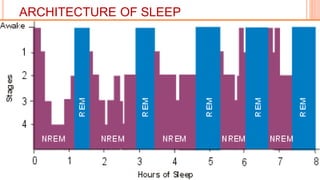 ARCHITECTURE OF SLEEP
 
