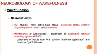 NEUROBIOLOGY OF WAKEFULNESS
 Wakefulness:-
 Neuroanatomy:-
 PET studies - most active brain areas - prefrontal cortex, anterior
cingulate parietal cortex, and precuneus
 Maintenance of wakefulness - dependent on ascending reticular
activating system (ARAS)
 comprised of inputs from oral pontine, midbrain tegmentum and
posterior hypothalamus
 