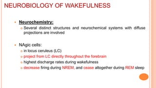  Neurochemistry:
 Several distinct structures and neurochemical systems with diffuse
projections are involved
 NAgic cells:
 in locus ceruleus (LC)
 project from LC directly throughout the forebrain
 highest discharge rates during wakefulness
 decrease firing during NREM, and cease altogether during REM sleep
NEUROBIOLOGY OF WAKEFULNESS
 