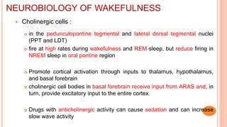  Cholinergic cells :
 in the pedunculopontine tegmental and lateral dorsal tegmental nuclei
(PPT and LDT)
 fire at high rates during wakefulness and REM sleep, but reduce firing in
NREM sleep in oral pontine region
 Promote cortical activation through inputs to thalamus, hypothalamus,
and basal forebrain
 cholinergic cell bodies in basal forebrain receive input from ARAS and, in
turn, provide excitatory input to the entire cortex.
 Drugs with anticholinergic activity can cause sedation and can increase
slow wave activity
NEUROBIOLOGY OF WAKEFULNESS
 