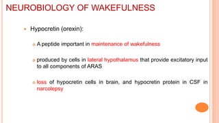  Hypocretin (orexin):
 A peptide important in maintenance of wakefulness
 produced by cells in lateral hypothalamus that provide excitatory input
to all components of ARAS
 loss of hypocretin cells in brain, and hypocretin protein in CSF in
narcolepsy
NEUROBIOLOGY OF WAKEFULNESS
 