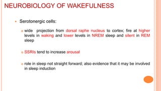  Serotonergic cells:
 wide projection from dorsal raphe nucleus to cortex; fire at higher
levels in waking and lower levels in NREM sleep and silent in REM
sleep
 SSRIs tend to increase arousal
 role in sleep not straight forward; also evidence that it may be involved
in sleep induction
NEUROBIOLOGY OF WAKEFULNESS
 