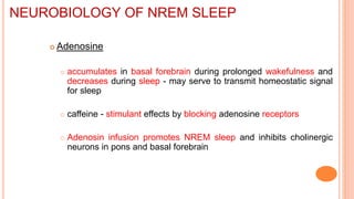  Adenosine
 accumulates in basal forebrain during prolonged wakefulness and
decreases during sleep - may serve to transmit homeostatic signal
for sleep
 caffeine - stimulant effects by blocking adenosine receptors
 Adenosin infusion promotes NREM sleep and inhibits cholinergic
neurons in pons and basal forebrain
NEUROBIOLOGY OF NREM SLEEP
 