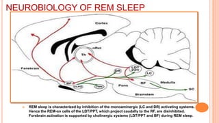 NEUROBIOLOGY OF REM SLEEP
 REM sleep is characterized by inhibition of the monoaminergic (LC and DR) activating systems.
Hence the REM-on cells of the LDT/PPT, which project caudally to the RF, are disinhibited.
Forebrain activation is supported by cholinergic systems (LDT/PPT and BF) during REM sleep.
 