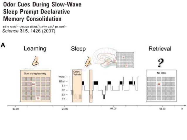Block Diagram Sbd Ecg Electrocardiogram Ticom