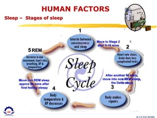 Dr. U.S. PAUL RUSSEL
HUMAN FACTORS
Sleep – Stages of sleep
 