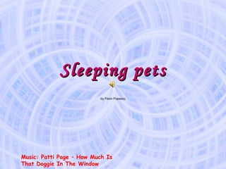 Sleeping pets by Florin Popescu Music: Patti Page – How Much Is That Doggie In The Window 