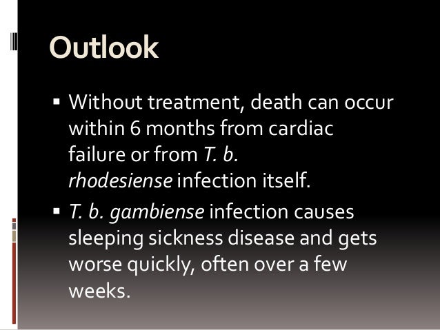 Sleeping Sickness Essay - Words | Bartleby essay on sleeping sickness