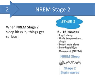 When NREM Stage 2
sleep kicks in, things get
serious!
NREM Stage 22
 