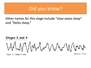Other names for this stage include “slow-wave sleep”
and “Delta sleep.”
Did you know?
 