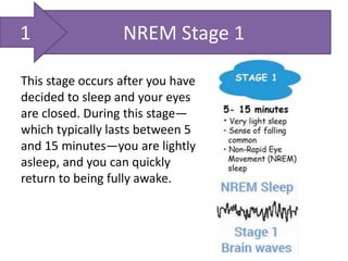 This stage occurs after you have
decided to sleep and your eyes
are closed. During this stage—
which typically lasts between 5
and 15 minutes—you are lightly
asleep, and you can quickly
return to being fully awake.
NREM Stage 11
 