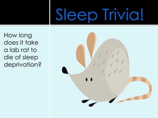 How long
does it take
a lab rat to
die of sleep
deprivation?
Sleep Trivia!
 