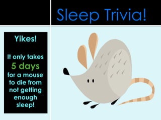 Sleep Trivia!
Yikes!
It only takes
5 days
for a mouse
to die from
not getting
enough
sleep!
 