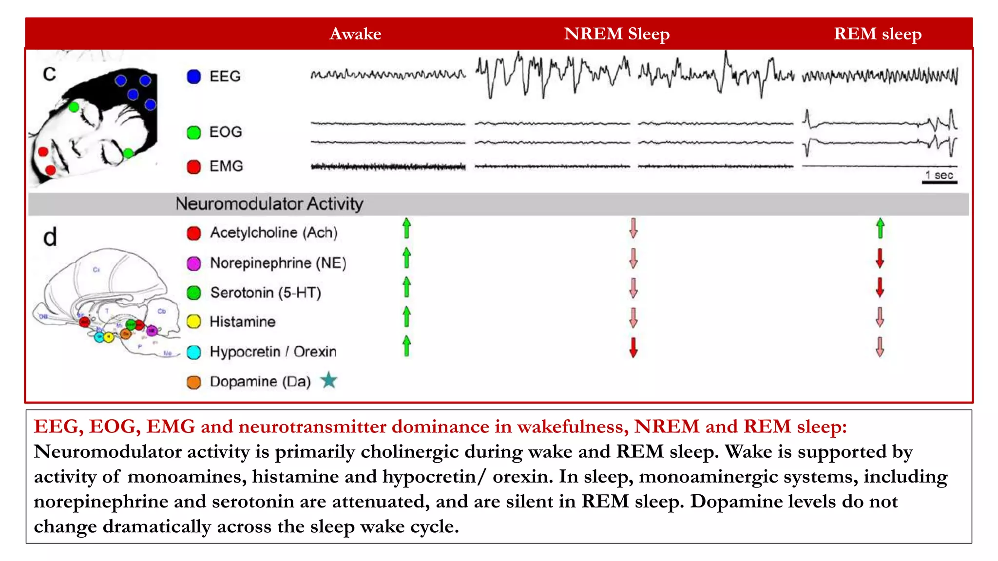 Sleep Neurobiology and Insomnia.pptx