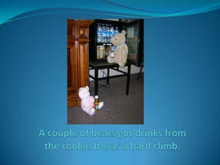 A couple of bears got drinks from the cooler. It was a hard climb.