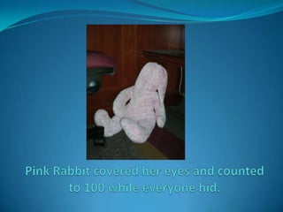 Pink Rabbit covered her eyes and counted to 100 while everyone hid.