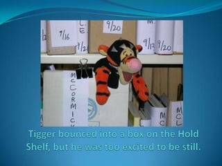 Tigger bounced into a box on the Hold Shelf, but he was too excited to be still.