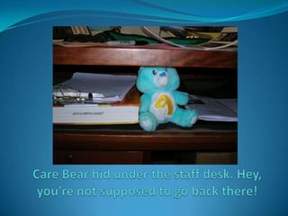 Care Bear hid under the staff desk. Hey, you’re not supposed to go back there!