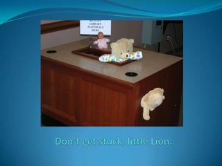 Don’t get stuck, little Lion.