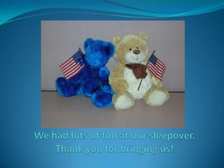We had lots of fun at our sleepover.  Thank you for bringing us!