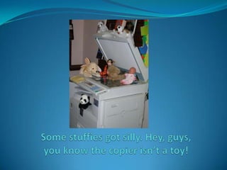 Some stuffies got silly. Hey, guys, you know the copier isn’t a toy!