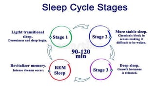 Stages of sleep
 