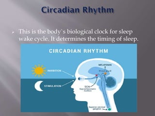 SLEEP PHYSIOLOGY - ways to sleepCopy-1.pdf