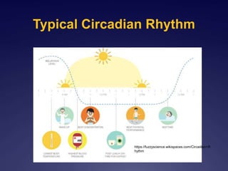 Typical Circadian Rhythm
https://fuzzyscience.wikispaces.com/Circadian+R
hythm
 
