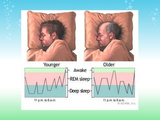 Sleep Presentation