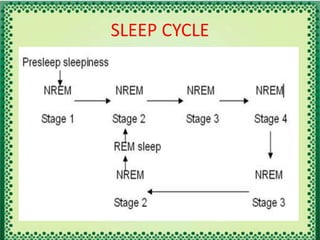 SLEEP CYCLE
 