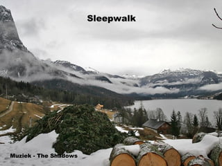 Sleepwalk Muziek - The Shadows 