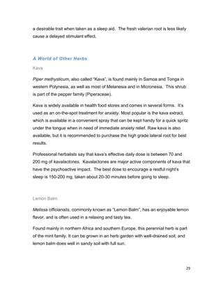29
a desirable trait when taken as a sleep aid. The fresh valerian root is less likely
cause a delayed stimulant effect.
A World of Other Herbs
Kava
Piper methysticum, also called “Kava”, is found mainly in Samoa and Tonga in
western Polynesia, as well as most of Melanesia and in Micronesia. This shrub
is part of the pepper family (Piperaceae).
Kava is widely available in health food stores and comes in several forms. It’s
used as an on-the-spot treatment for anxiety. Most popular is the kava extract,
which is available in a convenient spray that can be kept handy for a quick spritz
under the tongue when in need of immediate anxiety relief. Raw kava is also
available, but it is recommended to purchase the high grade lateral root for best
results.
Professional herbalists say that kava’s effective daily dose is between 70 and
200 mg of kavalactones. Kavalactones are major active components of kava that
have the psychoactive impact. The best dose to encourage a restful night’s
sleep is 150-200 mg, taken about 20-30 minutes before going to sleep.
Lemon Balm
Melissa officianalis, commonly known as “Lemon Balm”, has an enjoyable lemon
flavor, and is often used in a relaxing and tasty tea.
Found mainly in northern Africa and southern Europe, this perennial herb is part
of the mint family. It can be grown in an herb garden with well-drained soil, and
lemon balm does well in sandy soil with full sun.
 