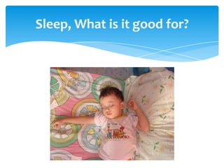 Sleep, What is it good for?
 