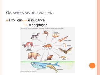 OS SERES VIVOS EVOLUEM.
 Evolução é mudança
é adaptação
 
