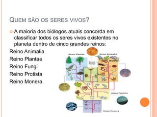 QUEM SÃO OS SERES VIVOS?
 A maioria dos biólogos atuais concorda em
classificar todos os seres vivos existentes no
planeta dentro de cinco grandes reinos:
Reino Animalia
Reino Plantae
Reino Fungi
Reino Protista
Reino Monera.
 