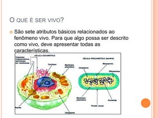 O QUE É SER VIVO?
 São sete atributos básicos relacionados ao
fenômeno vivo. Para que algo possa ser descrito
como vivo, deve apresentar todas as
características.
 