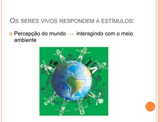OS SERES VIVOS RESPONDEM A ESTÍMULOS:
 Percepção do mundo interagindo com o meio
ambiente
 