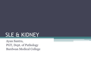 SLE & KIDNEY
Ayan Santra,
PGT, Dept. of Pathology
Burdwan Medical College
 