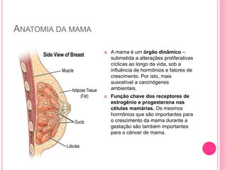 ANATOMIA DA MAMA
 A mama é um órgão dinâmico –
submetida a alterações proliferativas
cíclicas ao longo da vida, sob a
influência de hormônios e fatores de
crescimento. Por isto, mais
suscetível a carcinógenos
ambientais.
 Função chave dos receptores de
estrogênio e progesterona nas
células mamárias. Os mesmos
hormônios que são importantes para
o crescimento da mama durante a
gestação são também importantes
para o câncer de mama.
 