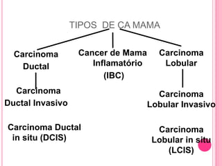 TIPOS DE CA MAMA
Carcinoma
Ductal
Carcinoma
Ductal Invasivo
Carcinoma Ductal
in situ (DCIS)
Cancer de Mama
Inflamatório
(IBC)
Carcinoma
Lobular
Carcinoma
Lobular Invasivo
Carcinoma
Lobular in situ
(LCIS)
 