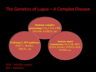 The Genetics of Lupus – A Complex Disease
Immune complex
processing: C1q, C2-4, CRP,
ITGAM, FcGR2A, etc
TLR/type I, IFN pathway:
STAT 1, IRAK1,
TREX1, etc
Immune signal
transduction: HLA-DR, IRF5,
STAT4, BANK1, PTPN22, BLK,
TNFSF4, etc
TLR = Toll-like receptor
IFN = interferon
 