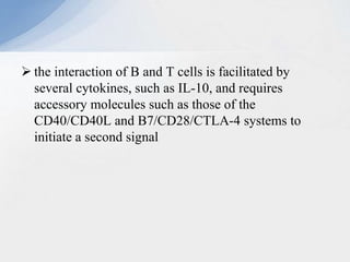  the interaction of B and T cells is facilitated by
several cytokines, such as IL-10, and requires
accessory molecules such as those of the
CD40/CD40L and B7/CD28/CTLA-4 systems to
initiate a second signal
 