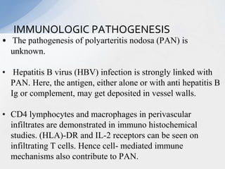 • The pathogenesis of polyarteritis nodosa (PAN) is
unknown.
• Hepatitis B virus (HBV) infection is strongly linked with
PAN. Here, the antigen, either alone or with anti hepatitis B
Ig or complement, may get deposited in vessel walls.
• CD4 lymphocytes and macrophages in perivascular
infiltrates are demonstrated in immuno histochemical
studies. (HLA)-DR and IL-2 receptors can be seen on
infiltrating T cells. Hence cell- mediated immune
mechanisms also contribute to PAN.
IMMUNOLOGIC PATHOGENESIS
 