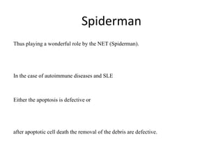 Spiderman
Thus playing a wonderful role by the NET (Spiderman).
In the case of autoimmune diseases and SLE
Either the apoptosis is defective or
after apoptotic cell death the removal of the debris are defective.
 