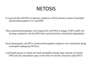 NETOSIS
It is proved that self-DNA in immune complexes of SLE patients contains Neutrophil
antimicrobial peptide LL37 and HNP.
These antimicrobial peptides were required for self-DNA to trigger TLR9 in pDCs by
forming complexes with the DNA that is protected from extracellular degradation.
Such immunogenic self-DNA–antimicrobial peptide complexes were released by dying
neutrophils undergoing NETosis,
a cell death process in which activated neutrophils extrude large amounts of nuclear
DNA into the extracellular space in the form of web-like structures called NETs
 