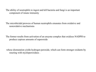 The ability of neutrophils to ingest and kill bacteria and fungi is an important
component of innate immunity
The microbicidal prowess of human neutrophils emanates from oxidative and
nonoxidative mechanisms
The former results from activation of an enzyme complex that oxidizes NADPH to
produce copious amounts of superoxide
whose dismutation yields hydrogen peroxide, which can form stronger oxidants by
reacting with myeloperoxidase .
 