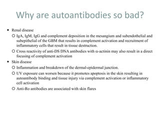 Why are autoantibodies so bad?
 Renal disease
 IgA, IgM, IgG and complement deposition in the mesangium and subendothelial and
subepithelial of the GBM that results in complement activation and recruitment of
inflammatory cells that result in tissue destruction.
 Cross reactivity of anti-DS DNA antibodies with a-actinin may also result in a direct
focusing of complement activation
 Skin disease
 Inflammation and breakdown of the dermal-epidermal junction.
 UV exposure can worsen because it promotes apoptosis in the skin resulting in
autoantibody binding and tissue injury via complement activation or inflammatory
cell activation
 Anti-Ro antibodies are associated with skin flares
 