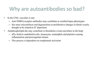Why are autoantibodies so bad?
• In the CNS, vasculitis is rare
– Anti-NMDA receptor antibodies may contribute to cerebral lupus phenotypes
– See more microinfarcts and degeneration or proliferative changes in blood vessels,
thought to be related to IC deposition
• Antiphospholipid abs may contribute to thrombotic events anywhere in the body
– aPLs bind to endothelial cells, monocytes, neutrophils and platelets causing
inflammation and procoagulant release
– This process is dependent on complement activation
 